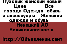 Пуховик женский новый › Цена ­ 2 600 - Все города Одежда, обувь и аксессуары » Женская одежда и обувь   . Ненецкий АО,Великовисочное с.